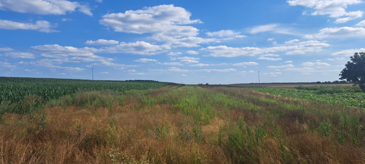 Działka Sprzedaż Miłków-Kolonia 2