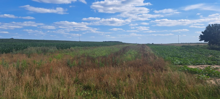 Działka Sprzedaż Miłków-Kolonia 4