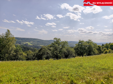 Działka Sprzedaż Olszowa