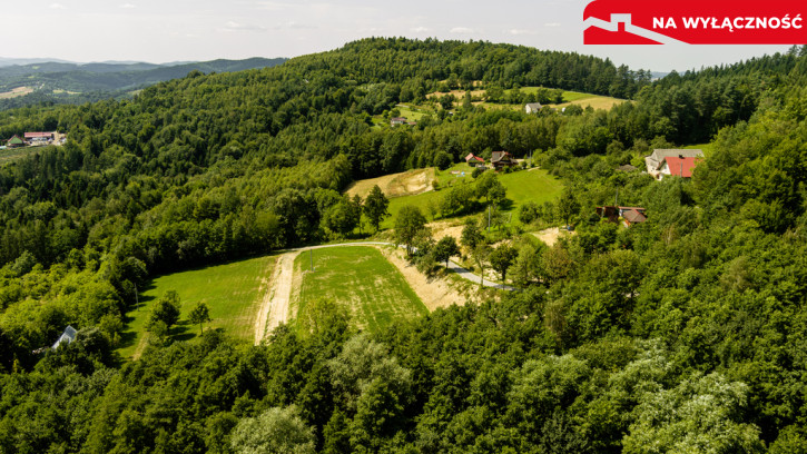 Działka Sprzedaż Olszowa 14