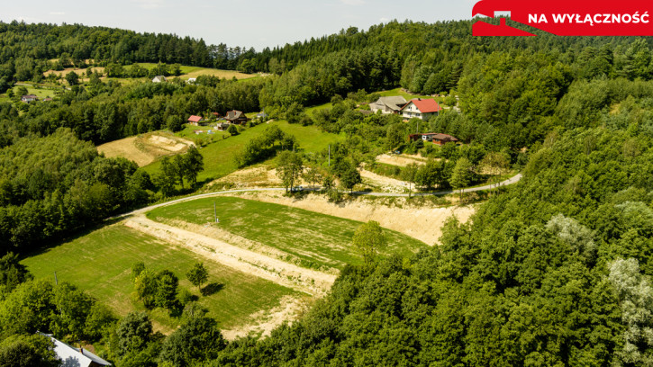 Działka Sprzedaż Olszowa 16