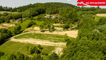 Działka Sprzedaż Olszowa