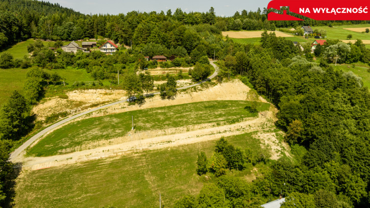 Działka Sprzedaż Olszowa 19