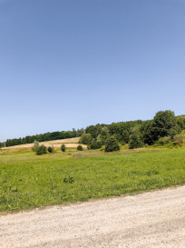 Działka Sprzedaż Joniny