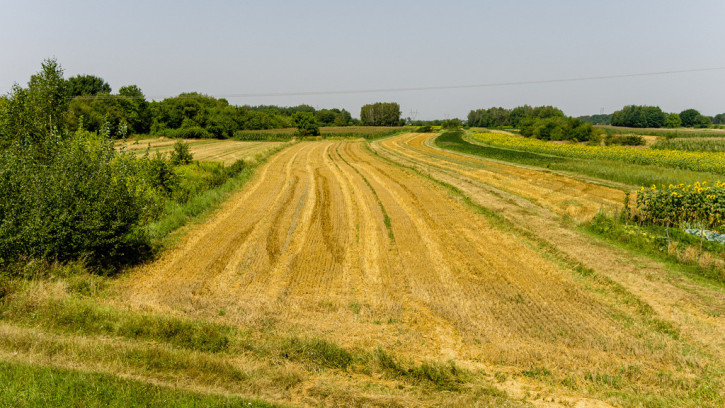 Działka Sprzedaż Tarnów Cedrowa 2
