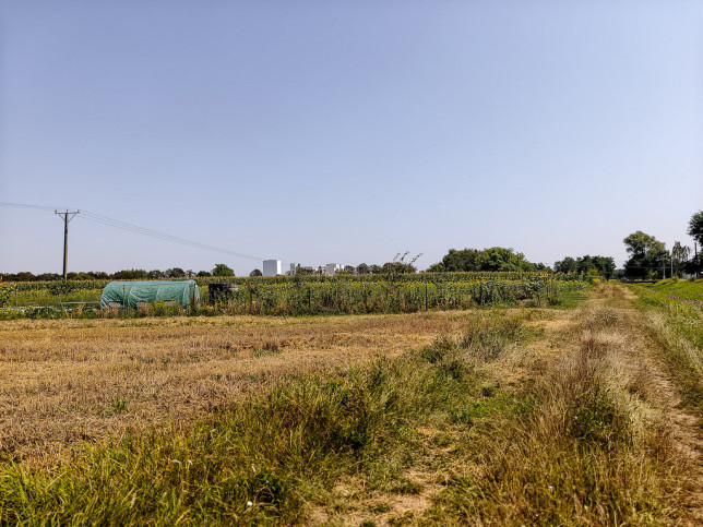 Działka Sprzedaż Tarnów Cedrowa 6
