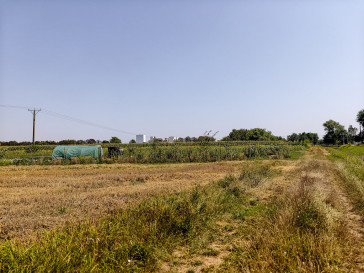 Działka Sprzedaż Tarnów Cedrowa