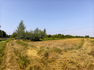 Działka Sprzedaż Tarnów Cedrowa