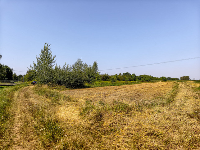 Działka Sprzedaż Tarnów Cedrowa 7
