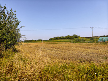 Działka Sprzedaż Tarnów Cedrowa