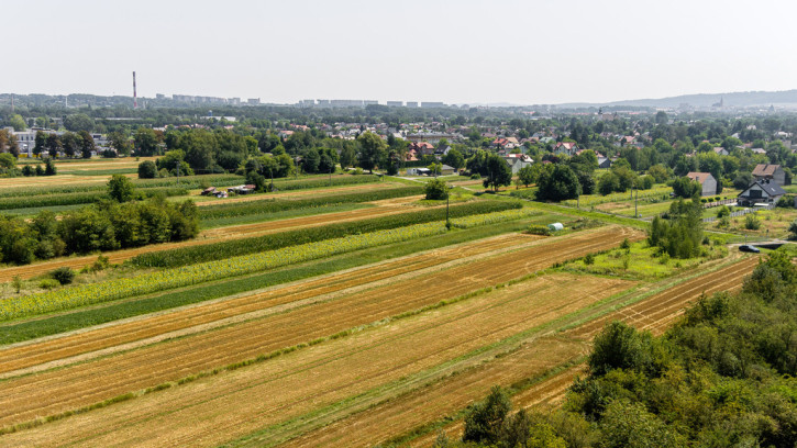 Działka Sprzedaż Tarnów Cedrowa 9