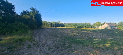 Działka Sprzedaż Stary Majdan