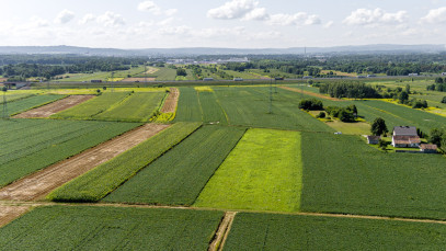 Działka Sprzedaż Łęg Tarnowski Południowa