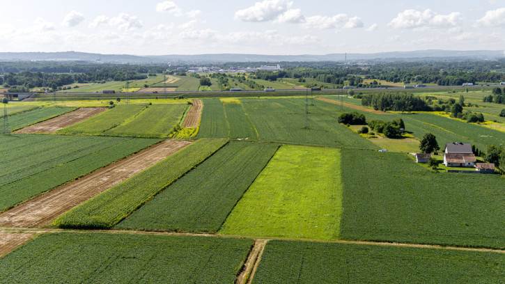 Działka Sprzedaż Łęg Tarnowski Południowa 3