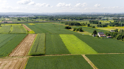 Działka Sprzedaż Łęg Tarnowski Południowa