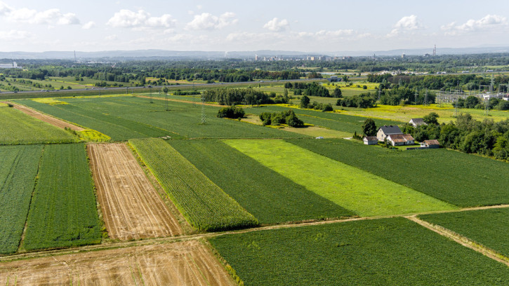 Działka Sprzedaż Łęg Tarnowski Południowa 5