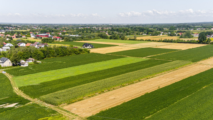 Działka Sprzedaż Łęg Tarnowski Południowa 7