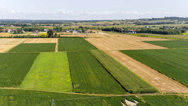 Działka Sprzedaż Łęg Tarnowski Południowa 10