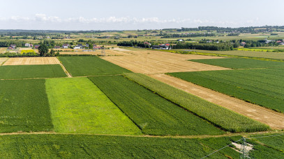 Działka Sprzedaż Łęg Tarnowski Południowa