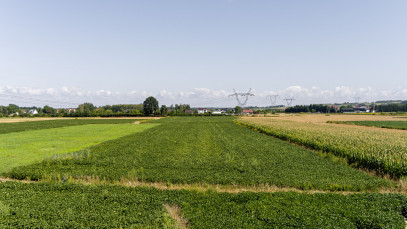 Działka Sprzedaż Łęg Tarnowski Południowa