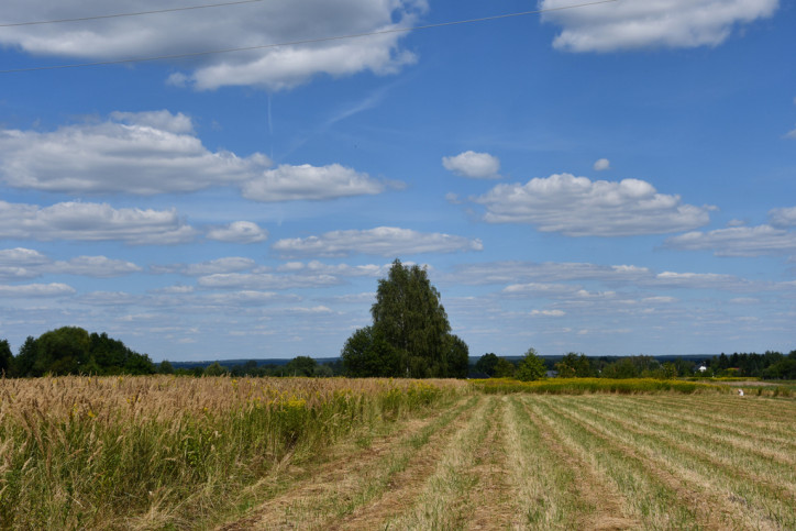 Działka Sprzedaż Strażów 7