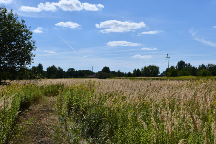 Działka Sprzedaż Strażów 3