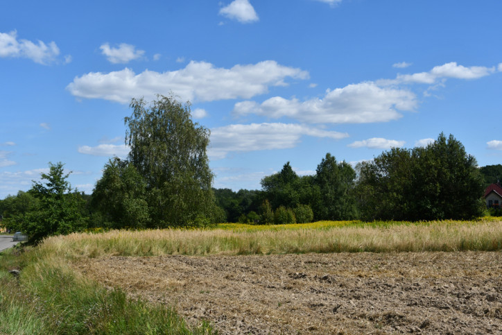 Działka Sprzedaż Strażów 13