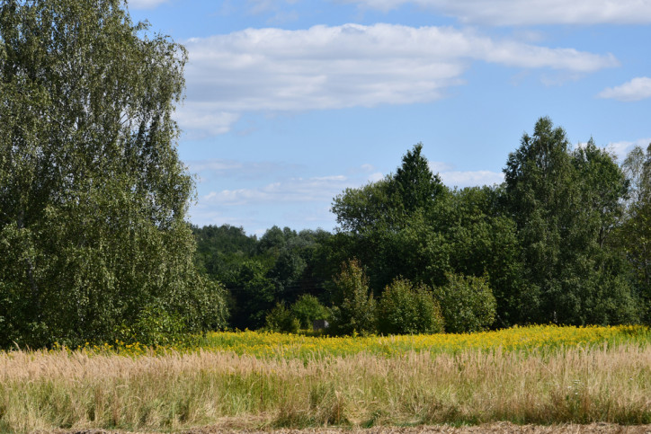 Działka Sprzedaż Strażów 5