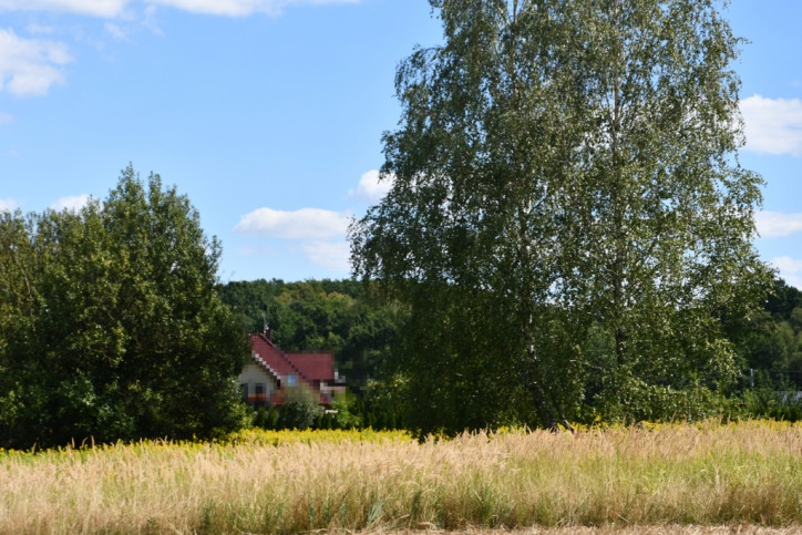 Działka Sprzedaż Strażów 6