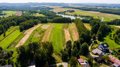 Działka Sprzedaż Skrzyszów