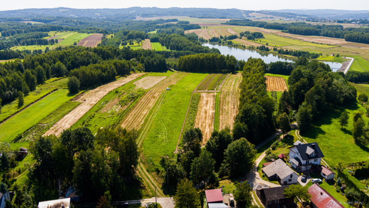 Działka Sprzedaż Skrzyszów 14