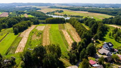 Działka Sprzedaż Skrzyszów