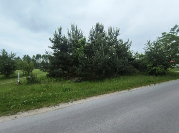 Działka Sprzedaż Żdżary