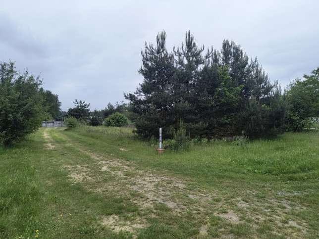 Działka Sprzedaż Żdżary 3