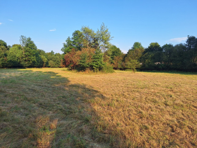 Działka Sprzedaż Stryszawa 1