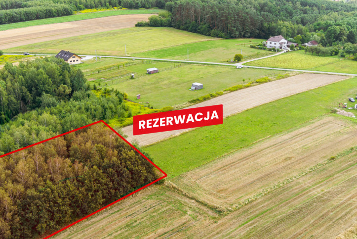 Działka Sprzedaż Łęki Dolne 1
