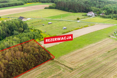 Działka Sprzedaż Łęki Dolne