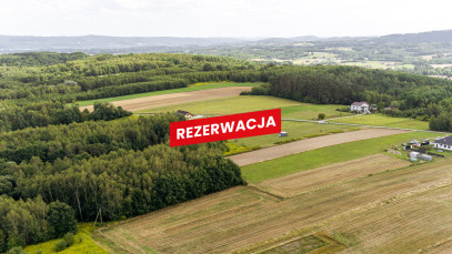Działka Sprzedaż Łęki Dolne