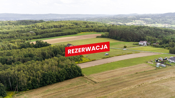 Działka Sprzedaż Łęki Dolne 3