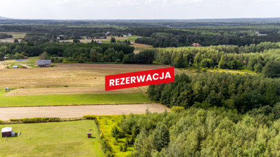 Działka Sprzedaż Łęki Dolne