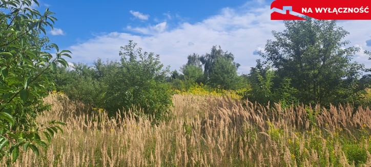 Działka Sprzedaż Suszno Olszana 1
