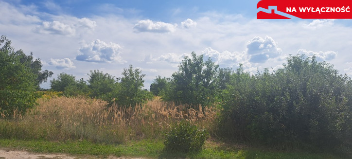 Działka Sprzedaż Suszno Olszana 2