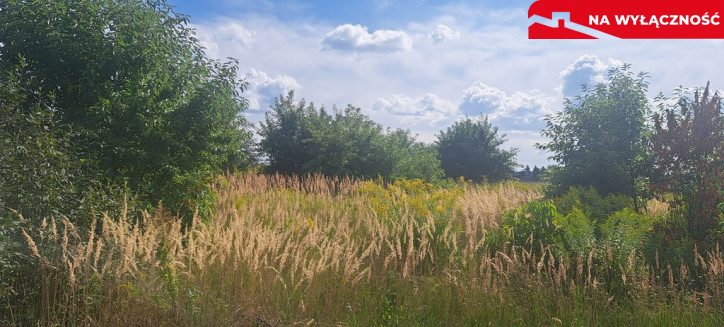 Działka Sprzedaż Suszno Olszana 3