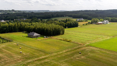 Działka Sprzedaż Szynwałd