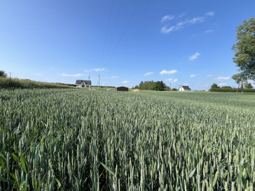 Działka Sprzedaż Jastków
