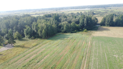 Działka Sprzedaż Żminne