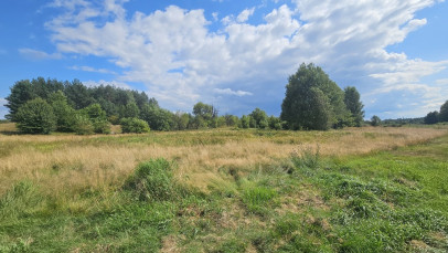 Działka Sprzedaż Luta