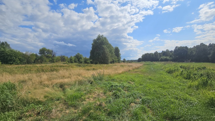 Działka Sprzedaż Luta 5