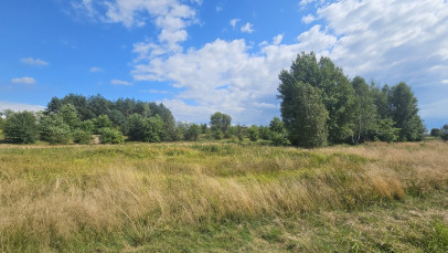 Działka Sprzedaż Luta