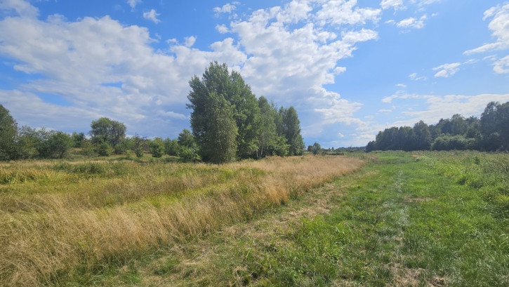 Działka Sprzedaż Luta 8